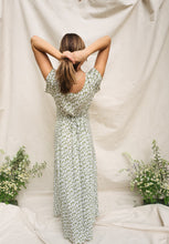 Load image into Gallery viewer, Cosmos